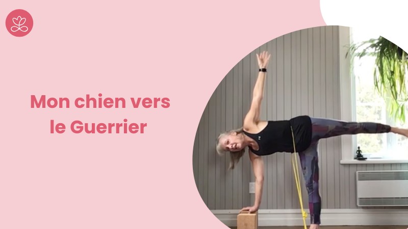 Jour 14. BE - Mon chien vers le Guerrier avec Esther Bouchard (13 min)